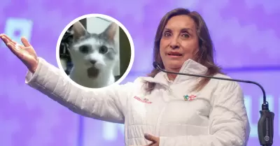 Cerrón, Rón, Rón…!!!