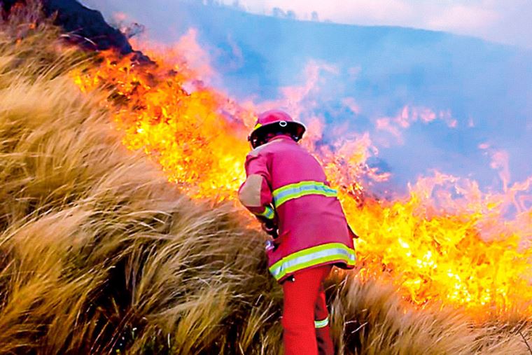 EL FUEGO NO CESA: INCENDIOS FORESTALES SIGUEN AUMENTANDO LA LISTA DE VICTIMAS..!!!