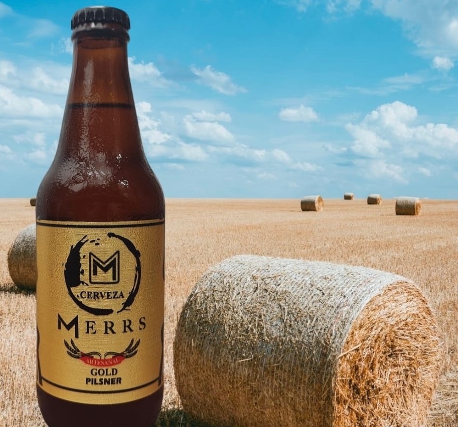 ACCIDENTADA CONFERENCIA DE PRENSA DE DINA BOLUARTE.  PISÓ EL PALITO FEAMENTE MANDATARIA..!!…