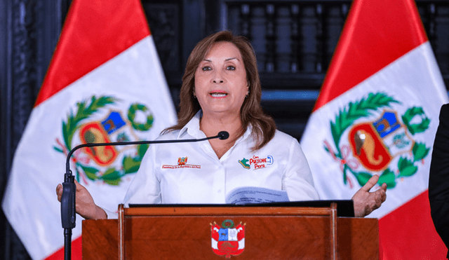 23 DÍAS DE SILENCIO: ¿PROMULGARÁ BOLUARTE LA LEY DE DETENCIÓN PRELIMINAR?..!!!