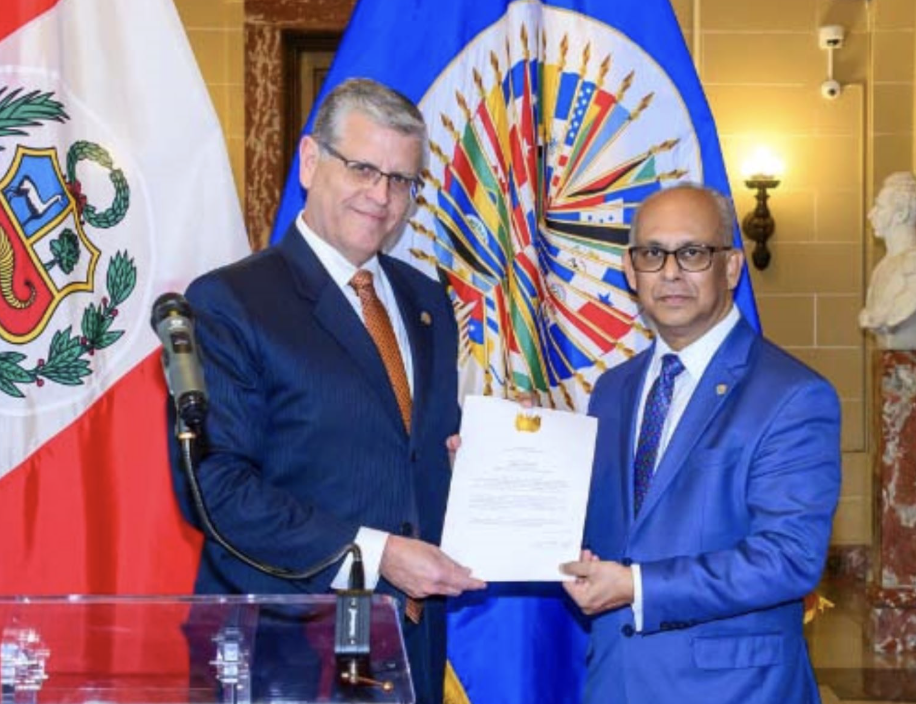 PELIGRO EN PERÚ ORGANIZACIONES DE LA UE Y LA OEA GENERAN ALARMA POR POSIBLE INJERENCIA EXTRANJERA..!!!!